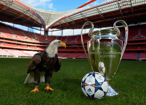 当核心的潜 当核心的潜