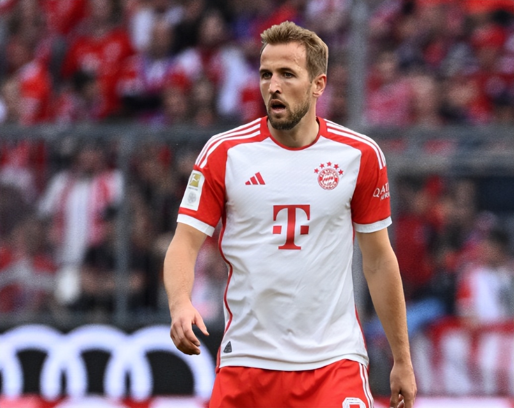 明确止损 明确止损